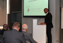 Mainstreaming Entrepreneurship and Africapitalism: