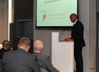 Mainstreaming Entrepreneurship and Africapitalism: