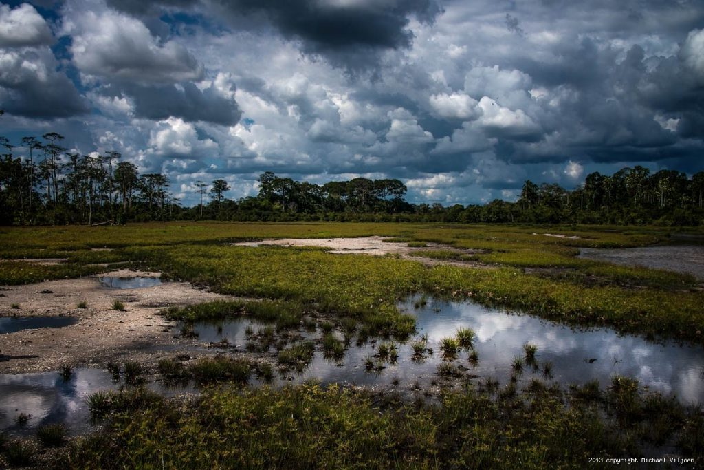 THE REPUBLIC OF THE CONGO THE REPUBLIC OF THE CONGO