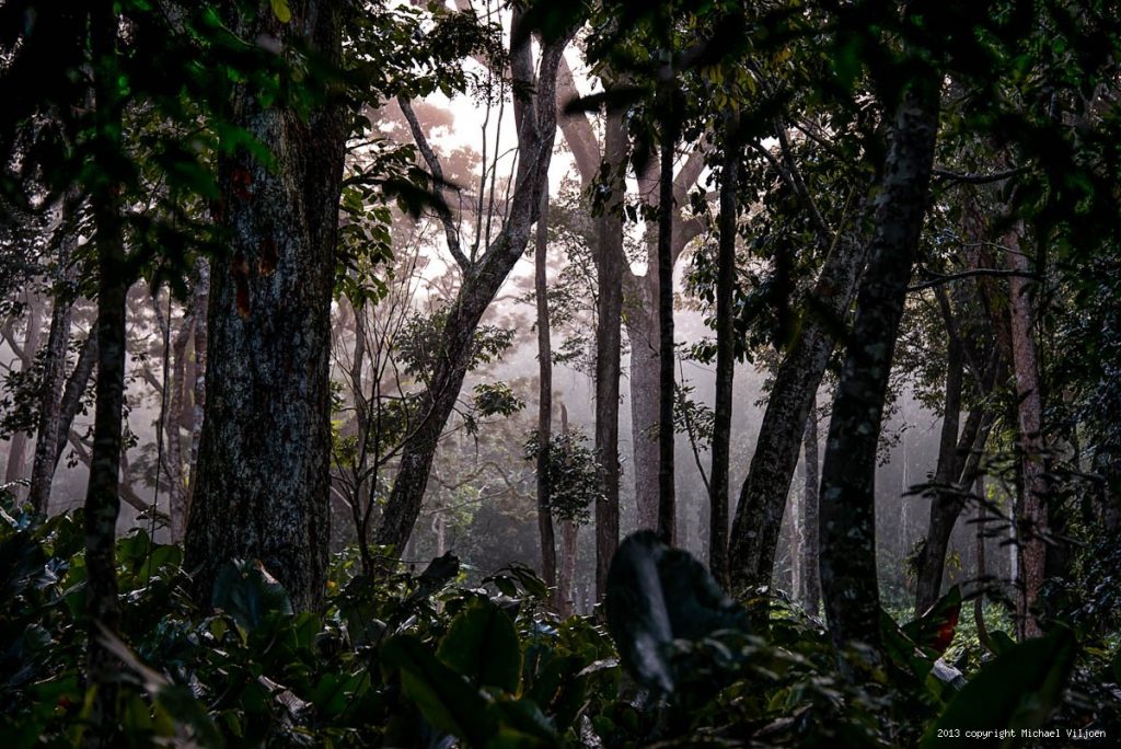 THE REPUBLIC OF THE CONGO THE REPUBLIC OF THE CONGO