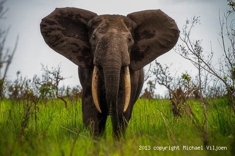THE REPUBLIC OF THE CONGO THE REPUBLIC OF THE CONGO