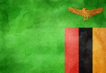 COUNTRY FOCUS- ZAMBIA