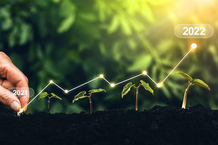 business trends in africa