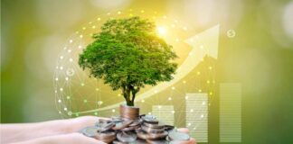 Banking the green way