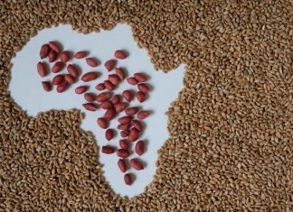 The Business of Food: How Food & Beverage SMEs Are Driving Economic Growth Food