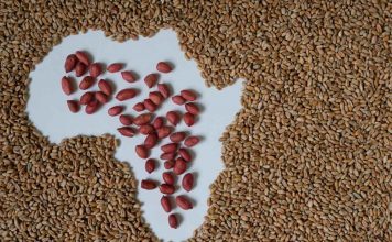 The Business of Food: How Food & Beverage SMEs Are Driving Economic Growth Food