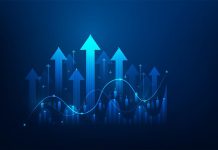 Nigeria’s Capital Pathway: Financing Growth Through Domestic Investment Domestic investment