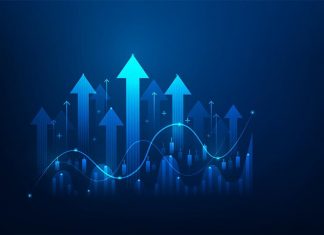 Nigeria’s Capital Pathway: Financing Growth Through Domestic Investment Domestic investment