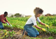 Profitable Agribusiness