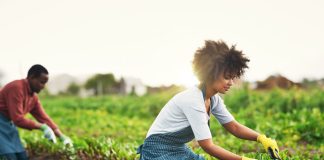 Profitable Agribusiness