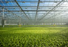 Green Money: Agribusiness