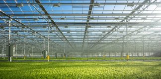 Green Money: Agribusiness