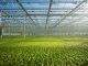 Green Money: How Sustainable Agriculture Supports a Better Future Green Money: Agribusiness