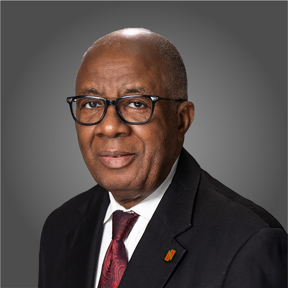 Emmanuel N. Nnorom Non-executive Director