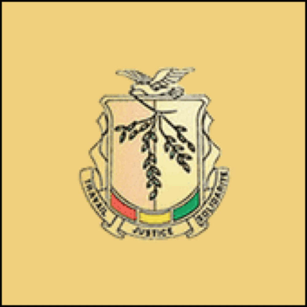 guinea-logo