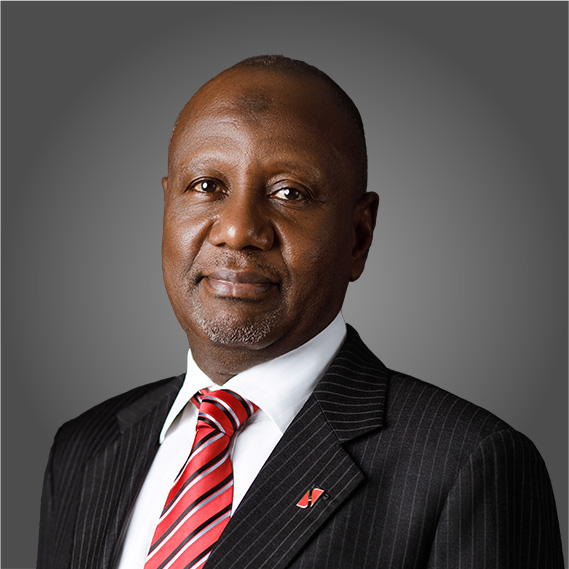 Alhaji Abdulqadir J. Bello (FCA)