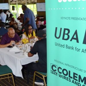 UBA Champions Diaspora Healthcare Investment at ANPA America Symposium