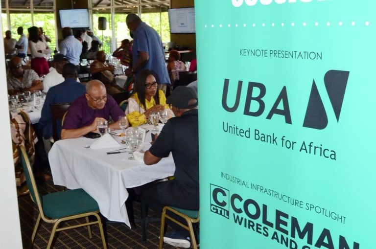 UBA Champions Diaspora Healthcare Investment at ANPA America Symposium