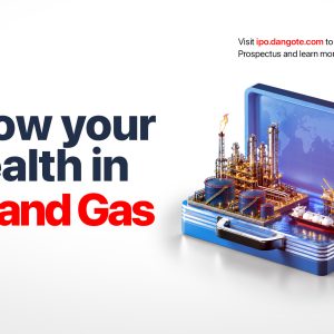 Dangote IPO-Web Banner-White